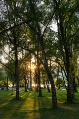 Obraz premium Rayons de soleil à travers les arbres dans un parc au bord du lac