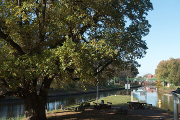 Kanalm&uuml;ndung bei Meppen im Emsland, Niedersachsen mit Baum