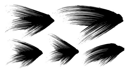 Obraz premium A collection of five black brush stroke elements resembling wings or feathers, isolated on a white background.