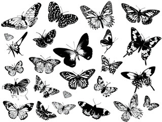 A diverse collection of black and white butterfly illustrations.