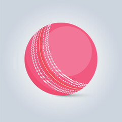 Pink Cricket Ball with White Stitching