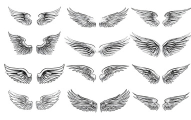 A diverse collection of hand drawn angel wings illustrations.