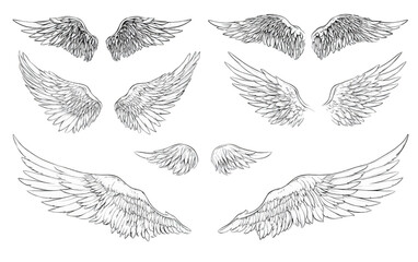 A beautiful collection of hand drawn angel wings in various poses.