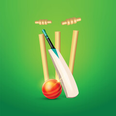 Professional Cricket Gear on a Vibrant Green Background