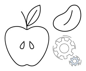 Apple, bean, and two gears with distinct outlines symbolizing natural growth, efficiency, and innovation. Ideal for concepts thumbs up agriculture, health, technology, development sustainability