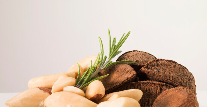 Still life Brazil nuts and rosemary