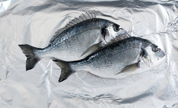 Still life of two gilt head bream on aluminum foil