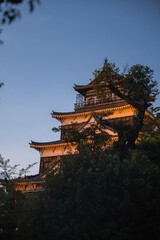 Fototapeta premium A multi tiered Osaka Castle keep rises behind tree canopies at dusk, white walls and layered roofs glow warmly, low angle view contrasts architecture with dark foliage.