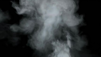 Billowing white smoke gracefully drifts and swirls against a stark black background, creating an ethereal and mysterious visual effect.