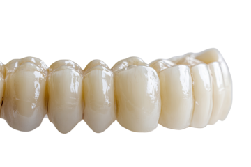 Close-up of a dental prosthesis.  A row of fabricated teeth, light beige, glossy, and smooth, are arranged horizontally.  The teeth appear realistic in form and texture