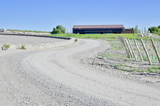 Camino de ripio que conduce hacia los vi&ntilde;edos j&oacute;venes de la Bodega Xumek en el Valle de Zonda, San Juan. La fotograf&iacute;a muestra estacas de cultivo, la infraestructura de la bodega y el paisaje monta&ntilde;os