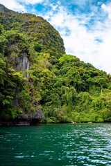 rainforest in the mountains