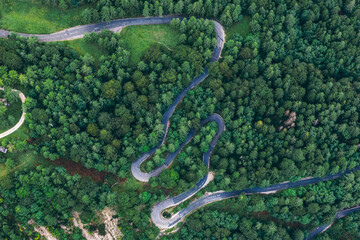 Aerial View of Winding Forest Road