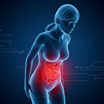 Douleur abdominale et probl&egrave;mes digestifs : visualisation 3D de l'anatomie avec intestins et organes enflamm&eacute;s en rouge, concept de syndrome du c&ocirc;lon irritable ou de gastro-ent&eacute;rite