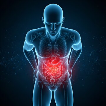 Douleur abdominale et probl&egrave;mes digestifs : visualisation 3D de l'anatomie avec intestins et organes enflamm&eacute;s en rouge, concept de syndrome du c&ocirc;lon irritable ou de gastro-ent&eacute;rite