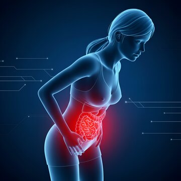 Douleur abdominale et probl&egrave;mes digestifs : visualisation 3D de l'anatomie avec intestins et organes enflamm&eacute;s en rouge, concept de syndrome du c&ocirc;lon irritable ou de gastro-ent&eacute;rite