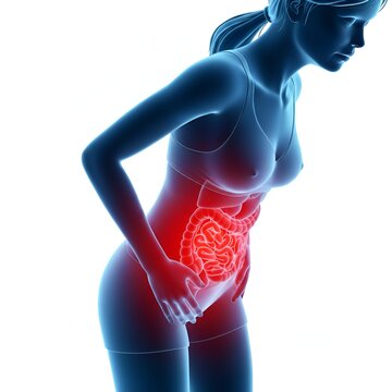 Douleur abdominale et probl&egrave;mes digestifs : visualisation 3D de l'anatomie avec intestins et organes enflamm&eacute;s en rouge, concept de syndrome du c&ocirc;lon irritable ou de gastro-ent&eacute;rite