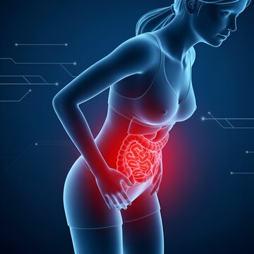 Douleur abdominale et probl&egrave;mes digestifs : visualisation 3D de l'anatomie avec intestins et organes enflamm&eacute;s en rouge, concept de syndrome du c&ocirc;lon irritable ou de gastro-ent&eacute;rite