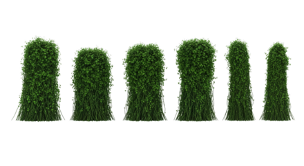 Green cylindrical shrubbery rows offer verdant landscaping possibilities for gardens
