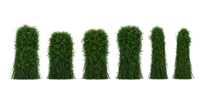 Green cylindrical shrubbery rows offer verdant landscaping possibilities for gardens
