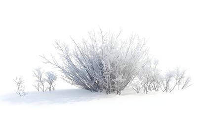 Winter shrub coated in soft snow with tiny frozen plants on white.