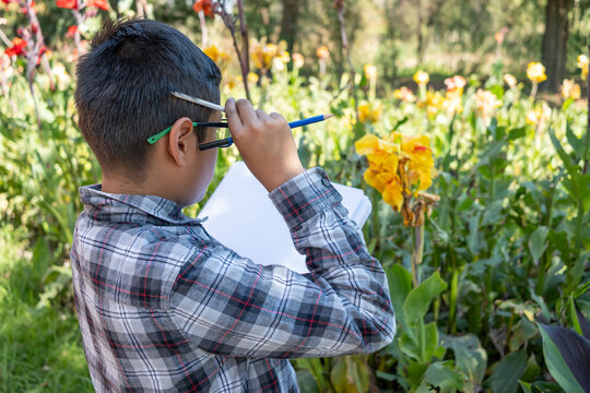 Mexican boy drawing in garden, learning about nature and developing creativity