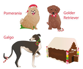 Doggies and gimger house