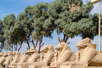 Egypt, Luxor, 02.01.2022  Karnak temple, alley of the ram-headed sphinxes.