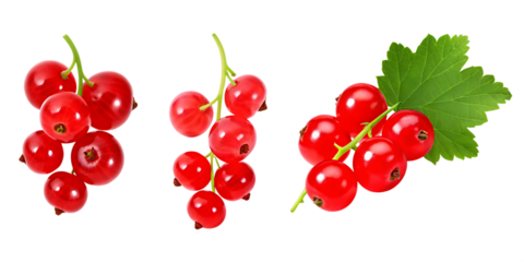 Three Bunches of Fresh Red Currants with Green Leaf on Transparent Background berry isolated on a transparent background