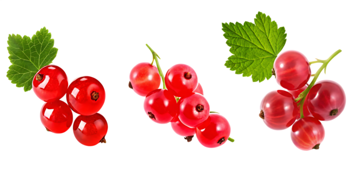Three Clusters of Red Currants with Green Leaves on Transparent Background berry isolated on a transparent background