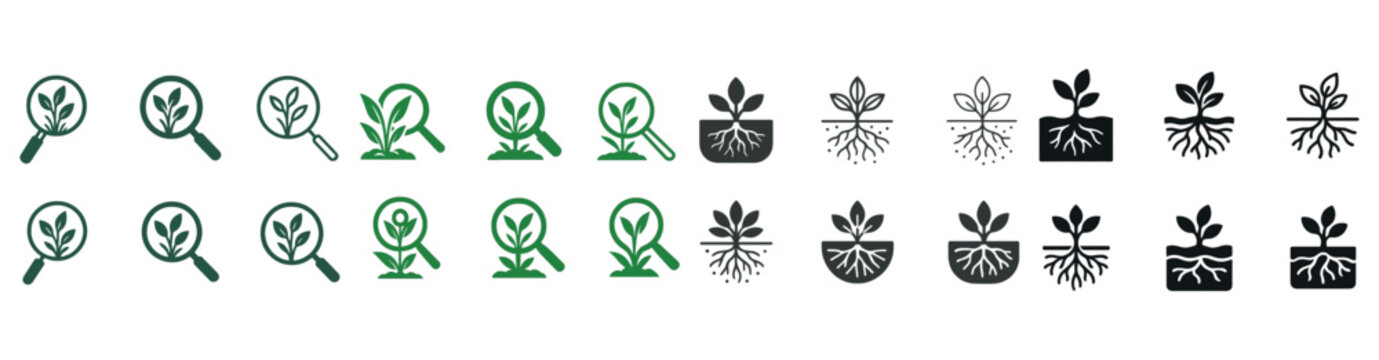Plant growth and root development icons in green and black