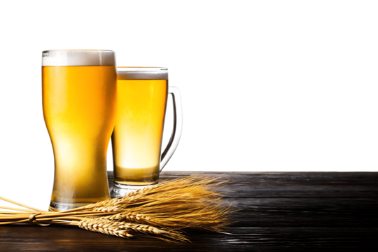Two Tall Glasses of Golden Beer with Wheat Stalks on Dark Wood lager drink isolated on a transparent background
