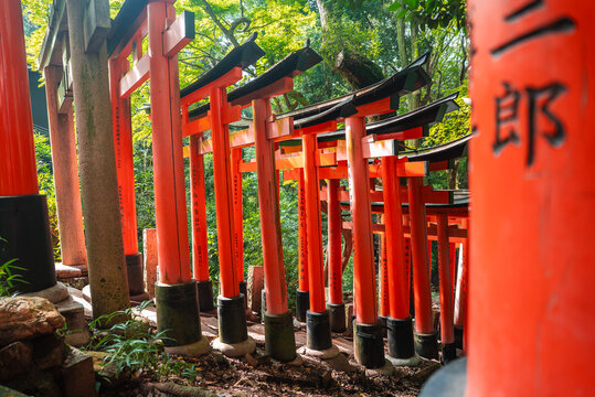 Vermilion torii with black caps and Kanji line a forest path at Fushimi Inari Taisha in Kyoto, Japan. Sunlight casts dappled patterns as gates recede uphill. - Powered by Adobe