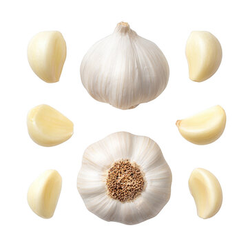 Whole garlic bulb and peeled cloves arranged neatly, isolated on transparent background, studio light setup, high detail