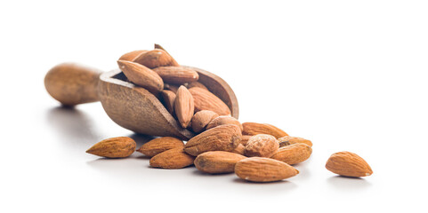 Almond kernel nuts on scoop isolated on white background.