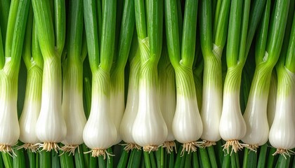 Fresh green onions aligned closely showing vibrant organic produce symbolizing healthy eating local farming and culinary freshness in natural kitchen setting
