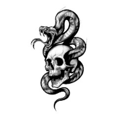 Obraz premium Skull with snake vintage y2k halftone art, venom stipple brutalist retro vector png with transparent background, dark 2000s aesthetic photocopy effect tattoo