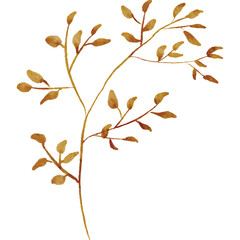 Golden Brown Twig with Small Leaves on Transparent Background Delicate Botanical Element Autumnal Aesthetic