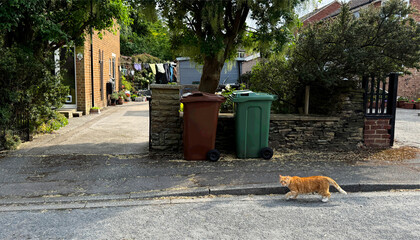 A ginger cat moves along a quiet street, passing bins and a neat driveway, the scene softened by greenery and suburban calm in Farsley, Leeds, UK