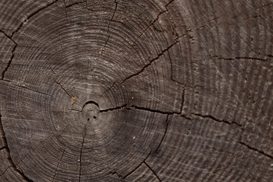 old wood texture