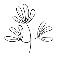 Black outline botanical drawing, decorative plant icon Vector