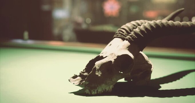 A goat skull rests on a green billiard table in a dimly lit room. The background reveals blurred figures playing pool, enhancing the unique atmosphere of the space.