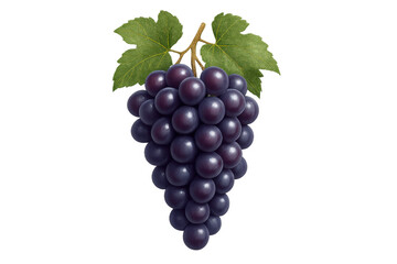 Fototapeta premium Bunch of ripe black grapes with green leaves ready for harvest, featuring fresh organic fruit and healthy eating on transparent background
