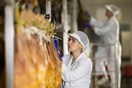 Woman employee checks jamon. Quality control, troubleshooting, search and elimination of violations. Meat processing plant. Hanging meat in production hall.