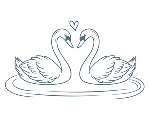 Romantic swans in love. Outline drawing. Sketch.