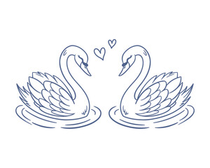 Romantic swans in love. Two swans are facing each other. Outline drawing. Sketch.