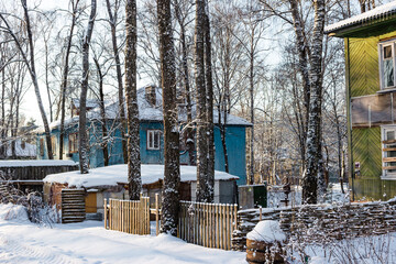 Cozy blue wooden house peeking through snow-dusted bare trees on a serene winter day, evoking a peaceful rustic vibe