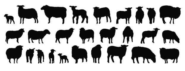 sheep silhouette set. sheep and lamb isolated farm animal silhouette icon vector collection © Yanka