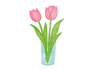 pink tulips in vase