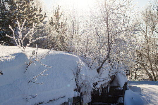 Sparkling hoarfrost covers winter branches and deep snowdrifts under a bright sun. A frosty forest scene full of crisp air and serene beauty - Powered by Adobe